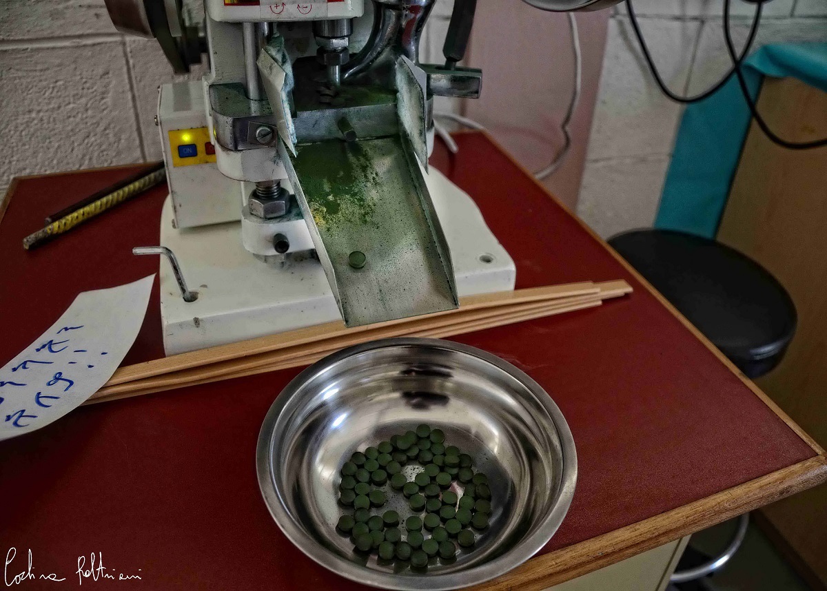 Alga spirulina: prodotto ultimato in compresse
